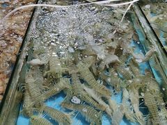 带虾膏的爬爬虾-万尾农贸市场