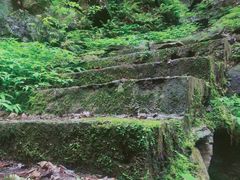 -藏龙百瀑风景区