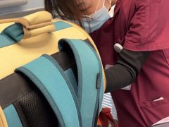 -纳吉亚猫专科动物诊疗中心(蒋宅口分院)