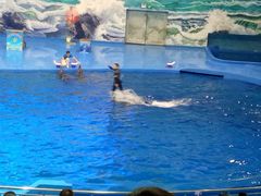 景点-多彩贵州城极地海洋世界