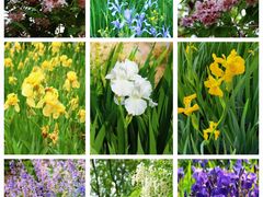 -永定河休闲森林公园