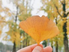 -两江幸福广场