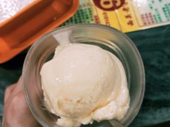 榴莲雪糕-顺记冰室(宝华路店)