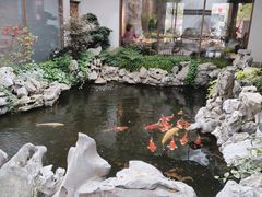 -鲤院·新中式美学·庭院餐厅(夫子庙店)