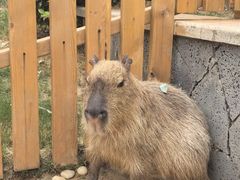 -郑州银基黄帝宫御温泉