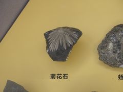 -湖南省地质博物馆