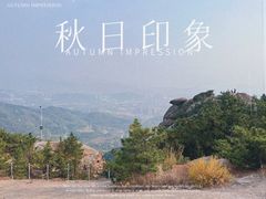 -竹子庵公园