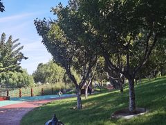 -双井轩(双井店)