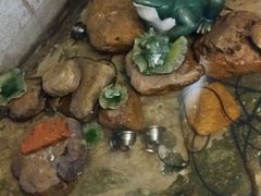 -楚湘苑(商品街大道店)