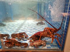 -蓝钻·国际美食海鲜自助百汇(西直门店)