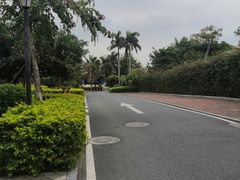 -厦门帝元维多利亚大酒店(环岛路黄厝海滩店)