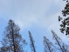 -东明山森林公园