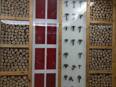 -纽斯洗浴SPA(三墩店)