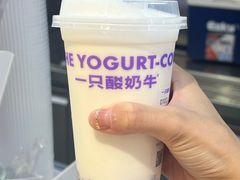 -一只酸奶牛(时代天街A馆店)