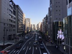 -涩谷区