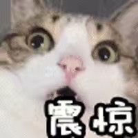 -隆延茶铺(学清路驹然店)