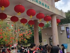 -广东茂名森林公园