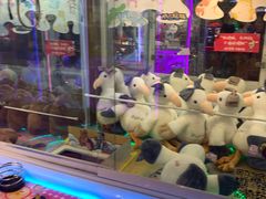 -PAWTOY爪e玩偶店(天兴罗斯福店)