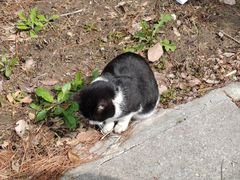 -同济大学(嘉定校区)