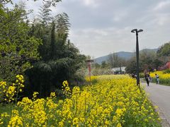 -苏州上方山国家森林公园