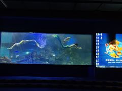 -重庆欢乐海底世界