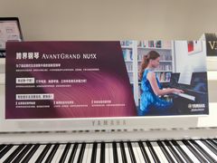 -雅歌音乐培训中心·钢琴培训·乐器培训(交道口店)