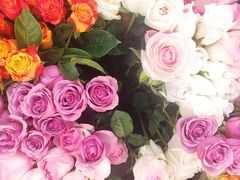 -循礼门鲜花花市(武汉循礼门店)