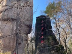 -汤旺河林海奇石景区