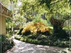 -申粤轩酒楼·三十年粤菜经典(丁香花园店)