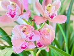 -泰康之家·申园