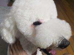 -宠物家(双井店)