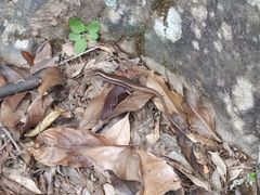 -白云源风景区