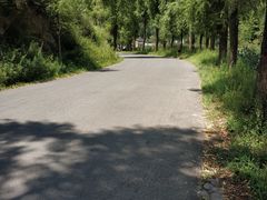-王顺山国家森林公园