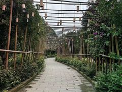 -高荡千年布依古寨旅游景区