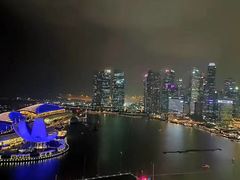 -新加坡丽思卡尔顿美年酒店