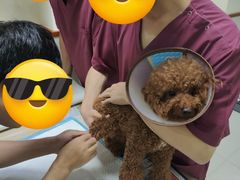 -艾贝尔宠物诊疗