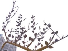 -西北湖绿化广场