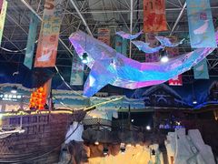 -海合安青岛极地海洋公园