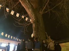 -龙寺生态园