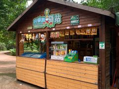 -海南热带野生动植物园