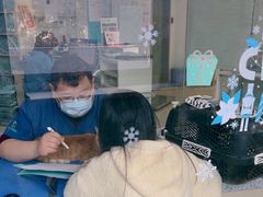 -瑞派申生动物医院·24H夜诊·国际动物医疗中心·骨外科(吴中路店)