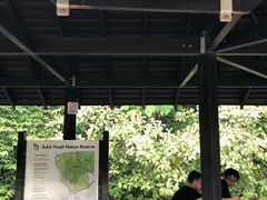 -武吉知马自然保护区