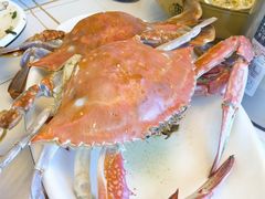 -金海湾海鲜排档(朱家尖店)