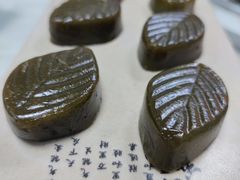 -麻奢鸽农庄·梦里水乡