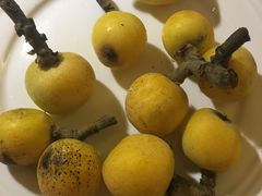 -苏州香山国际大酒店