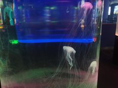 -苏州海洋馆