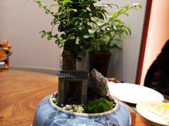 -东湖食堂·湖景餐厅•会议