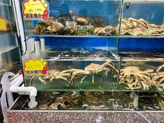 -蚝专家(北滘店)