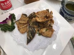 -寻味顺德·南记酒家·传统顺德菜·鱼生(广源路店)