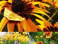 -济南国际园博园